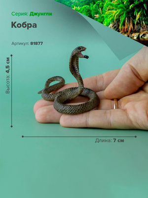 Орыс короз жігітіне өлтіретін минет жасап, аузына сперманы алады Интернетте ең қатыгез секс көру