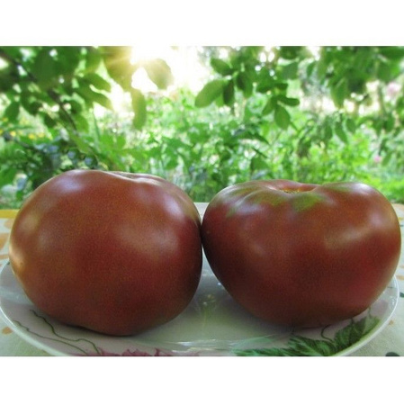 Томаты шоколадный описание сорта фото отзывы Томаты шоколадный описание сорта фото отзывы