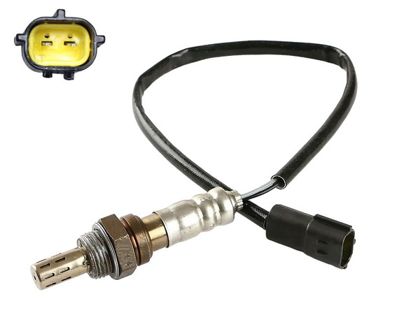 Қарбыз порнографиясын былғады