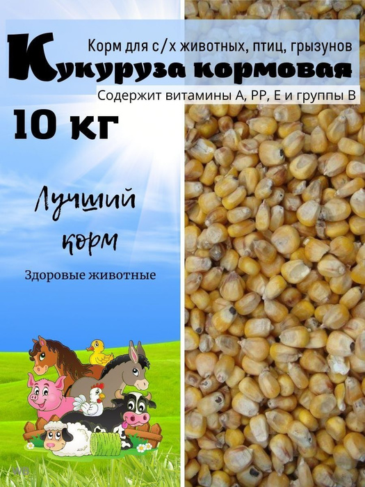 Кукуруза кормовая 10 кг (Цельное зерно). - купить с доставкой по ...