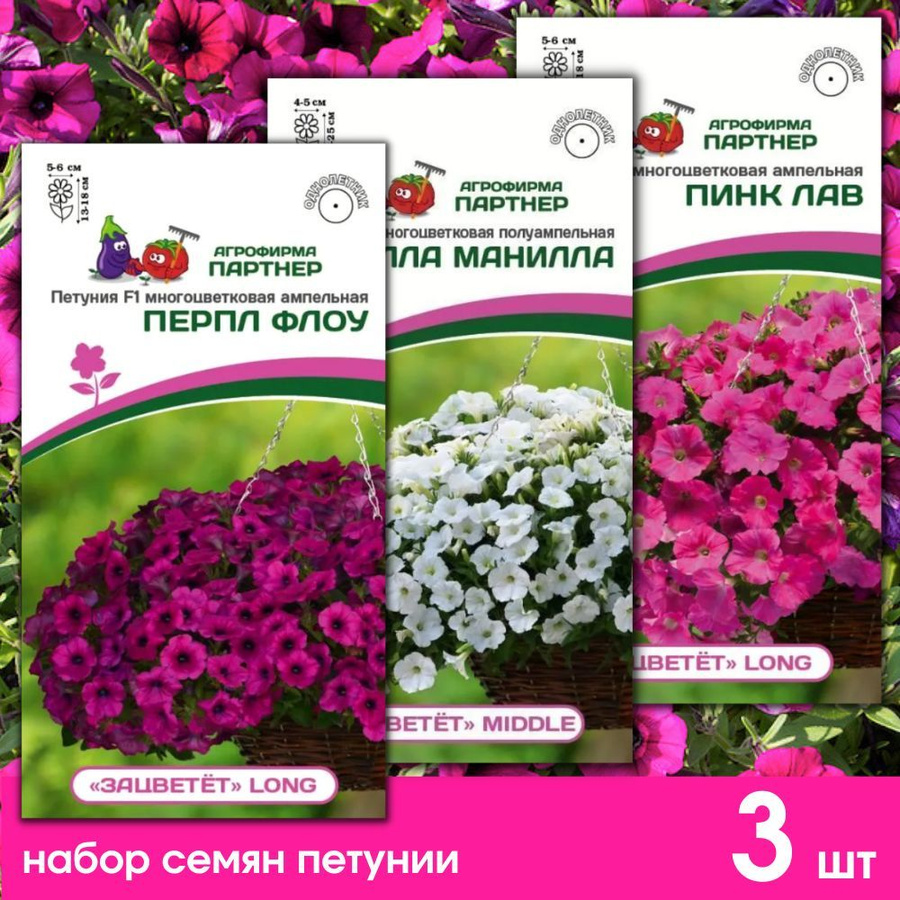 "зацветёт" long пинк лав. Middle корал кисс / многоцветковая полуампельная. Петуния "зацветёт" short лилак лайт f1 многоцветковая каскадная. Петуния зацветет партнер. Петуния зацветет партнер.