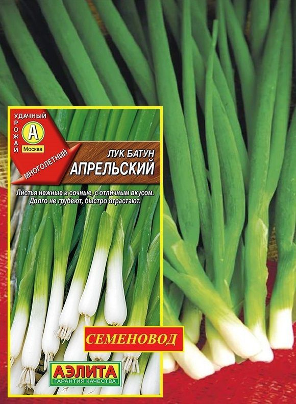 Семена лук-батун Русский огород Апрельский 308300 1 уп. - купить в Семь Семян, ц