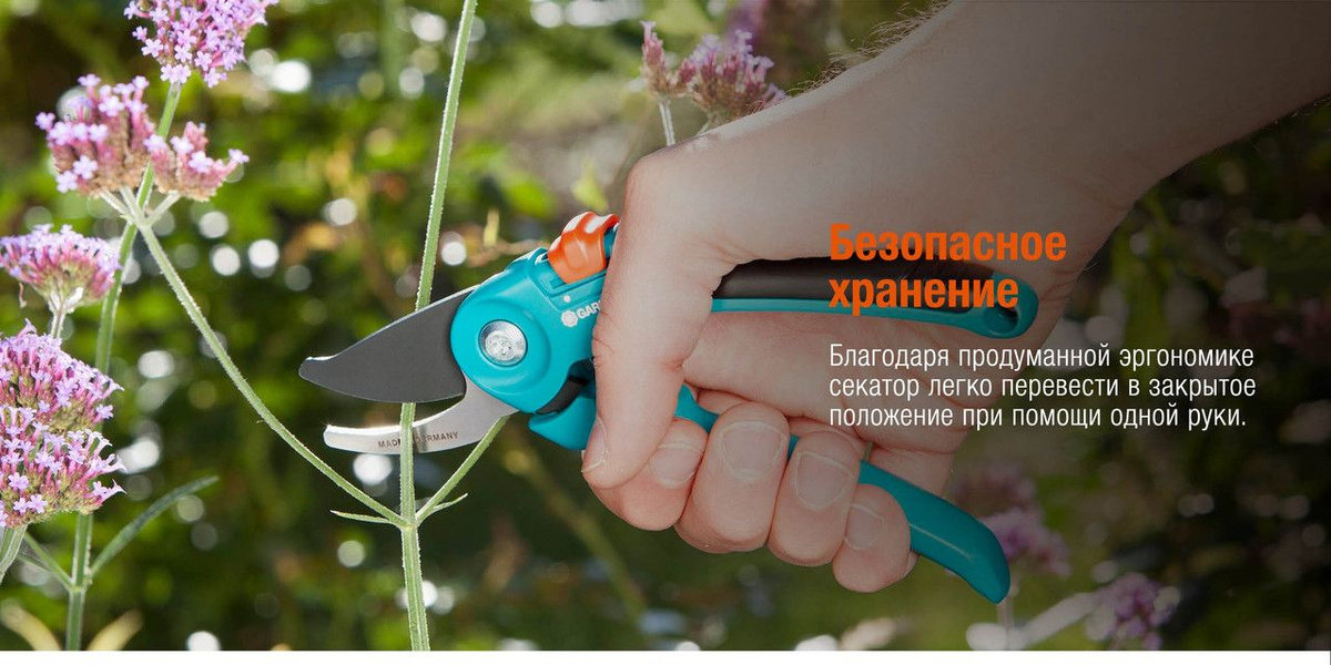 Текстовое описание изображения