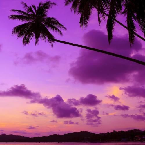 На фото пурпурный закат в Тайланде