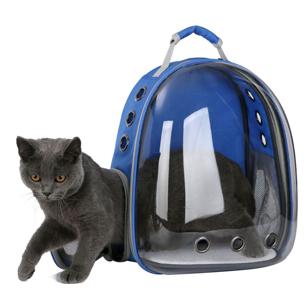 Рюкзаки для кошек и собак. Pet Carrier 5 переноска. Переноска Cat Carrier. Cat Carrier переноска для кота. Homepet сумка-переноска для животных.