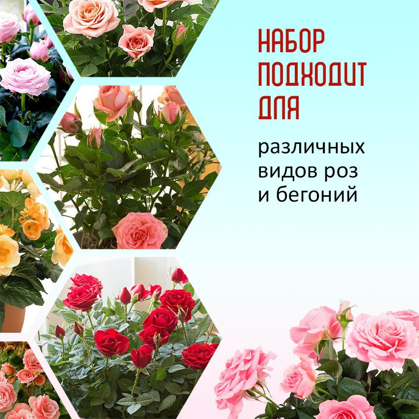 ПРОСТОЛЕТО / Грунт (земля) для Розы и Бегонии. Набор для пересадки ...