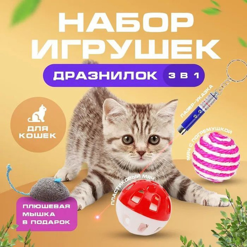 как научить котенка умываться - 20 ответов на форуме veles-evp.ru ()