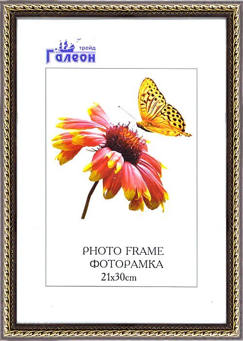 Фоторамка пластиковая 21 х 30 см, 1606C-017F1