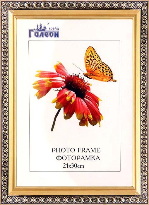 Фоторамка пластиковая 21 х 30 см, 1702C3-012C1