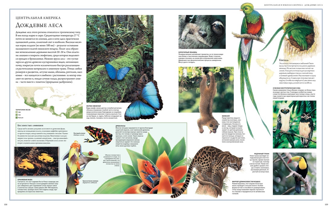 Животный мир. Иллюстрированный атлас | Animal World: Illustrated Atlas - Ozon image 4