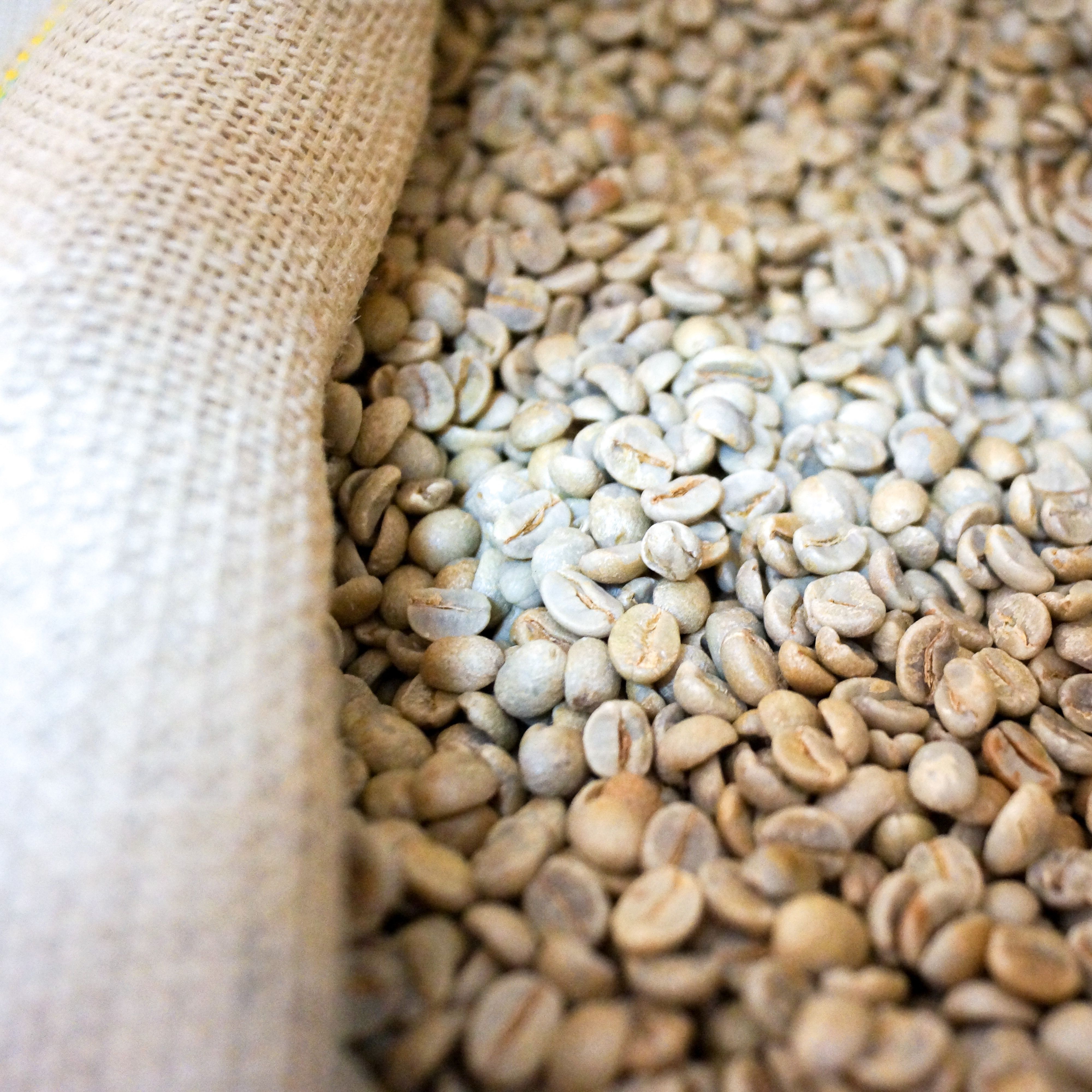 Кофе в зернах 1 кг Эфиопия Акация ETHIOPIA ACACIA Frumentum Specialty ...
