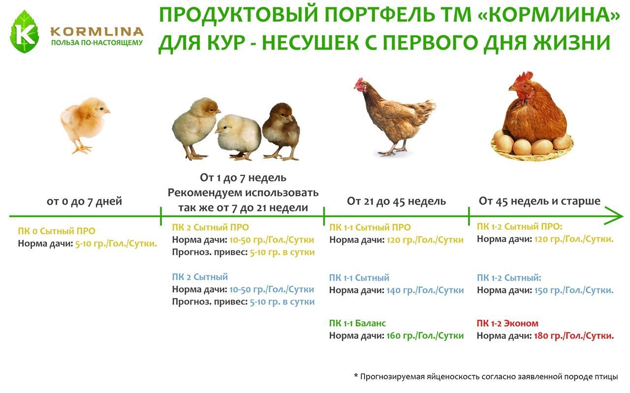 Где Можно Купить Комбикорм Куриный Орел