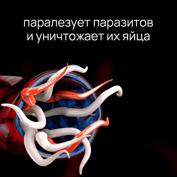 Черви к чему снятся женщине белые. К чему снятся глисты во сне. Сонник глисты белые видеть. Сонник глисты белые видеть. К чему снятся глисты во сне.