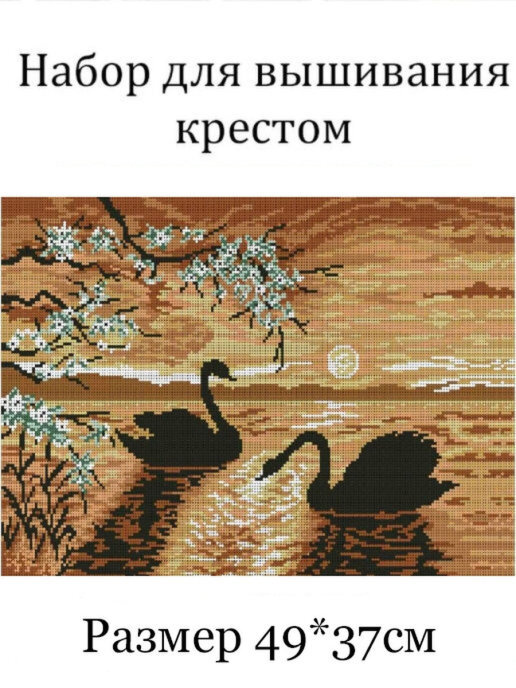 Лебеди на закате