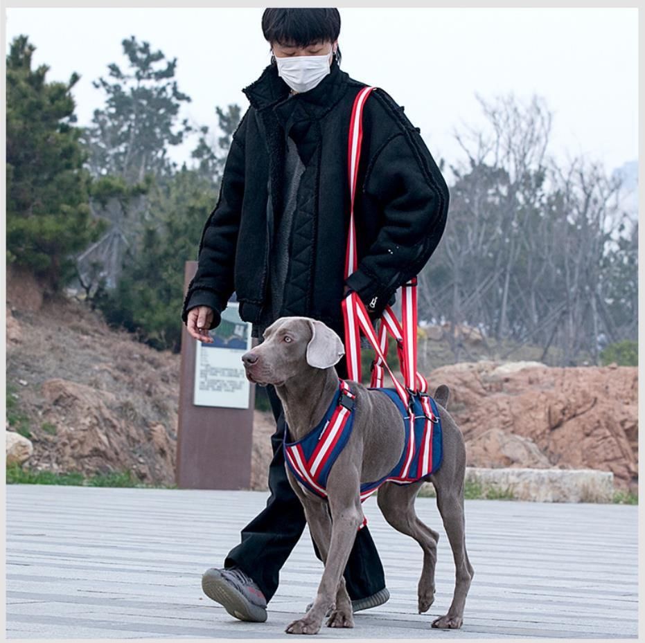 Ходунки для собак Размер Поддерживающая шлейка для пожилых и ...