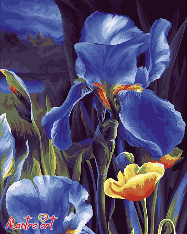 Картина по номерам на холсте с подрамником Mantra Art "Ирисы", Раскраска 40х50, Ирисы Синие цветы Цветы - купить с доставкой по выгодным ценам в интернет-магазине OZON (266570188)