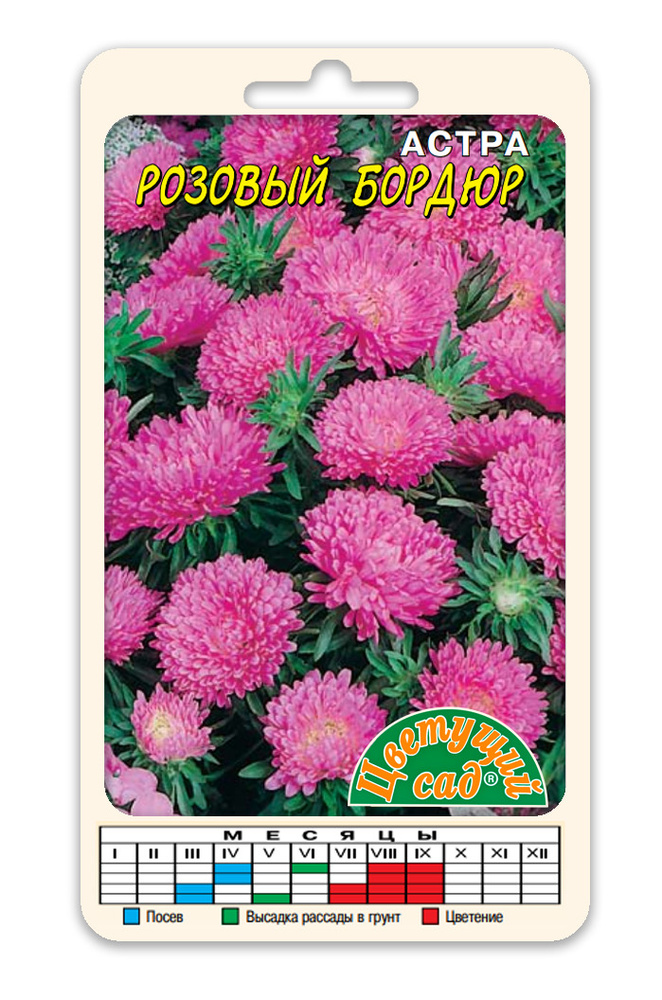 Астры однолетние Цветущий сад ЦС Астра БОРДЮРНАЯ - купить по выгодным ценам в интернет-магазине OZON (437045154)