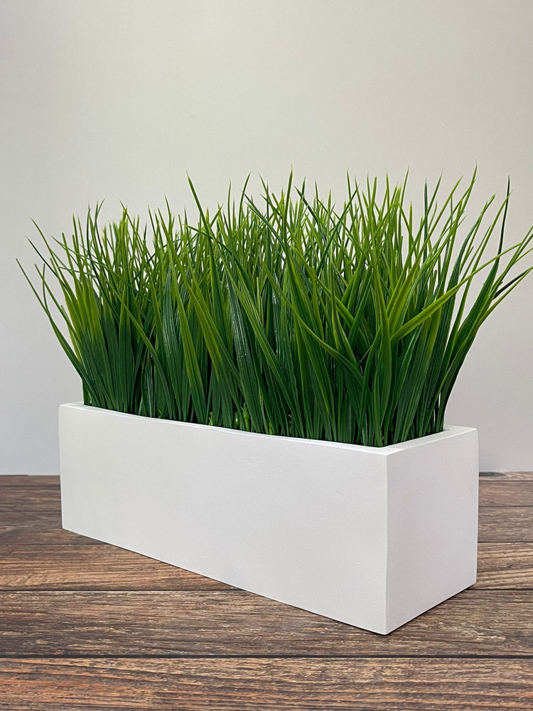 Декоративная трава для сада – варианты и фото оформления
