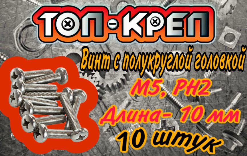 Винт с полукруглой головкой, М5*10мм, 10 шт #1