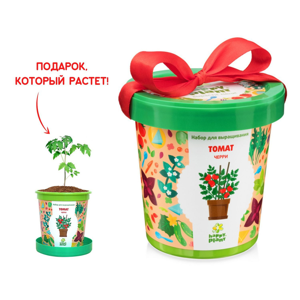 Вопросы и ответы о Набор для выращивания растений Happy Plant Томат черри,  семена комнатных растений в подарочном горшке – OZON