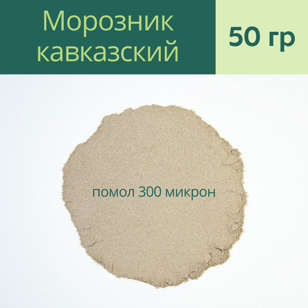 Морозник кавказский молотый, 50 гр (Горная Адыгея) + мерная ложечка / для  похудения - Родные Травы - купить с доставкой по выгодным ценам в  интернет-магазине OZON (491015953)