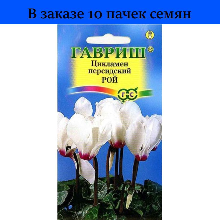 Цикламены 6092 - купить по выгодным ценам в интернет-магазине OZON  (1187882131)