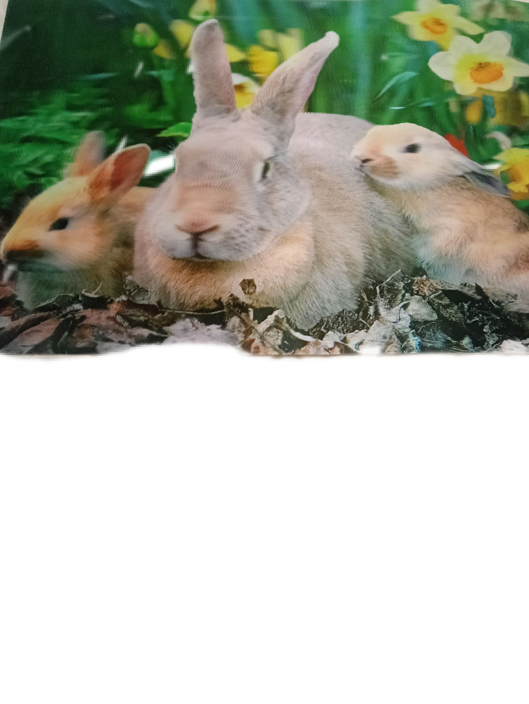 Украшение настольное интерьерное 5 - купить по доступным ценам в ...