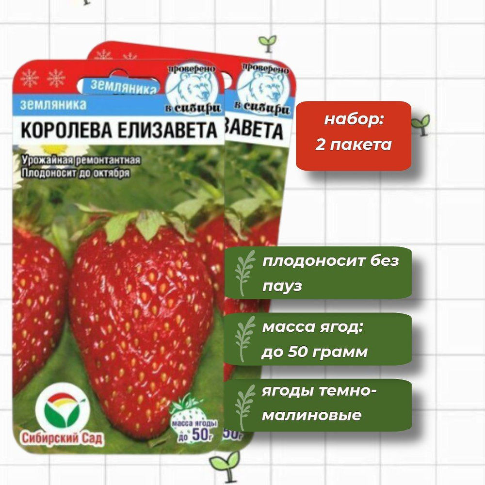 Клубника в сибири. Лучшая клубника для сибири отзывы. Семена клубники для сибири фестивальная. Клубника в сибири. Клубника краса сибири.