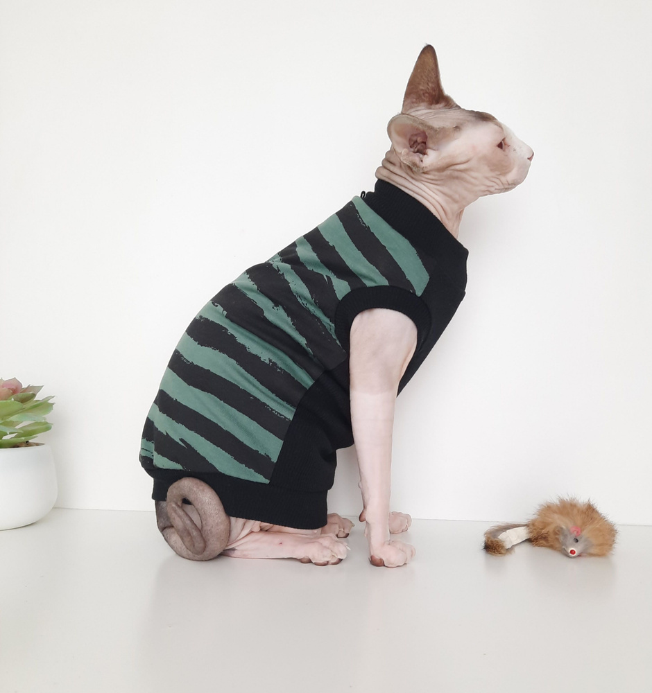 Одежда U:ME для котов, кошек, сфинксов | ВКонтакте