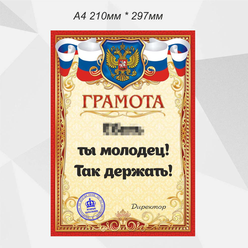 Грамота в подарок Новый год, Универсальный - купить по выгодной цене в  интернет-магазине OZON (654578827)