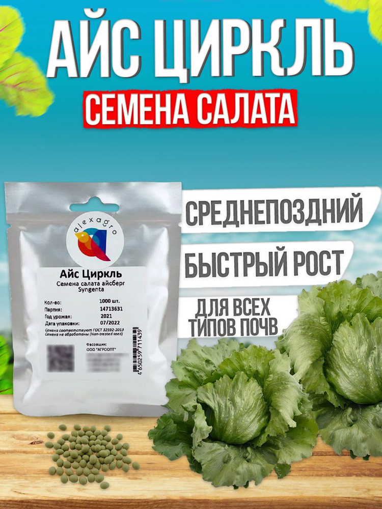 Айс Циркль семена салата айсберг, 1000 шт. (Syngenta / ALEXAGRO). Высокоурожайный гибрид для открытого #1