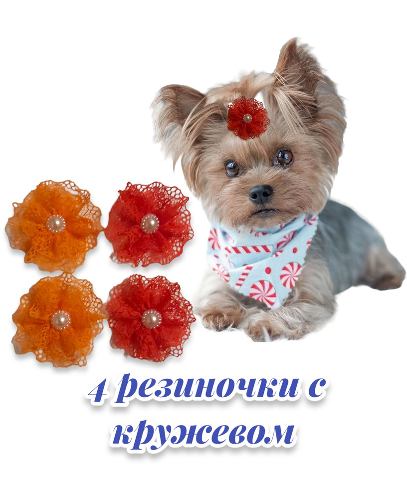 Резинки для собак #1