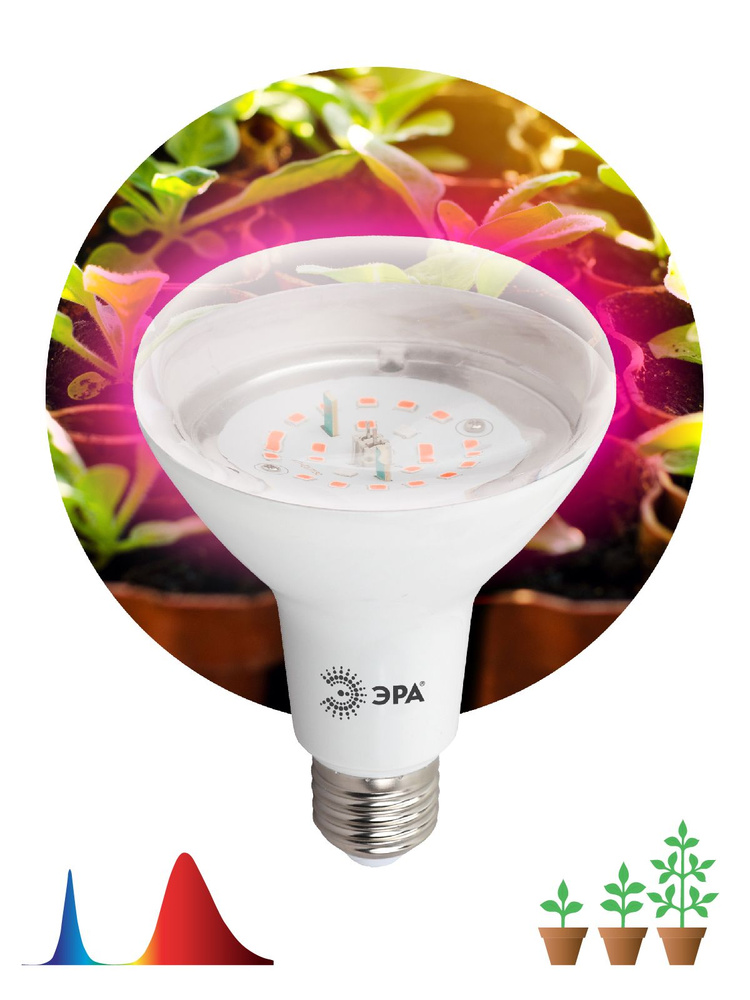 Фитолампа светодиодная красно-синего спектра FITO-16W-RB-E27-K ЭРА #1