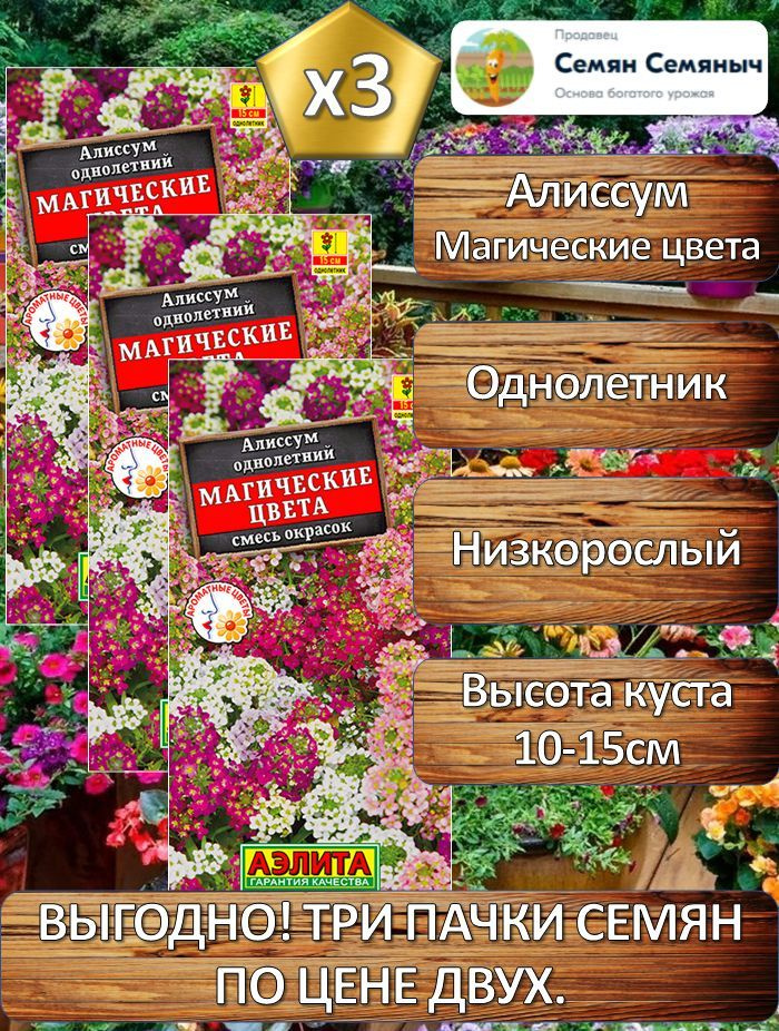 Семена цветов Алиссум "Магические цвета, смесь сортов" (3 упаковки по 0,03г семян)  #1