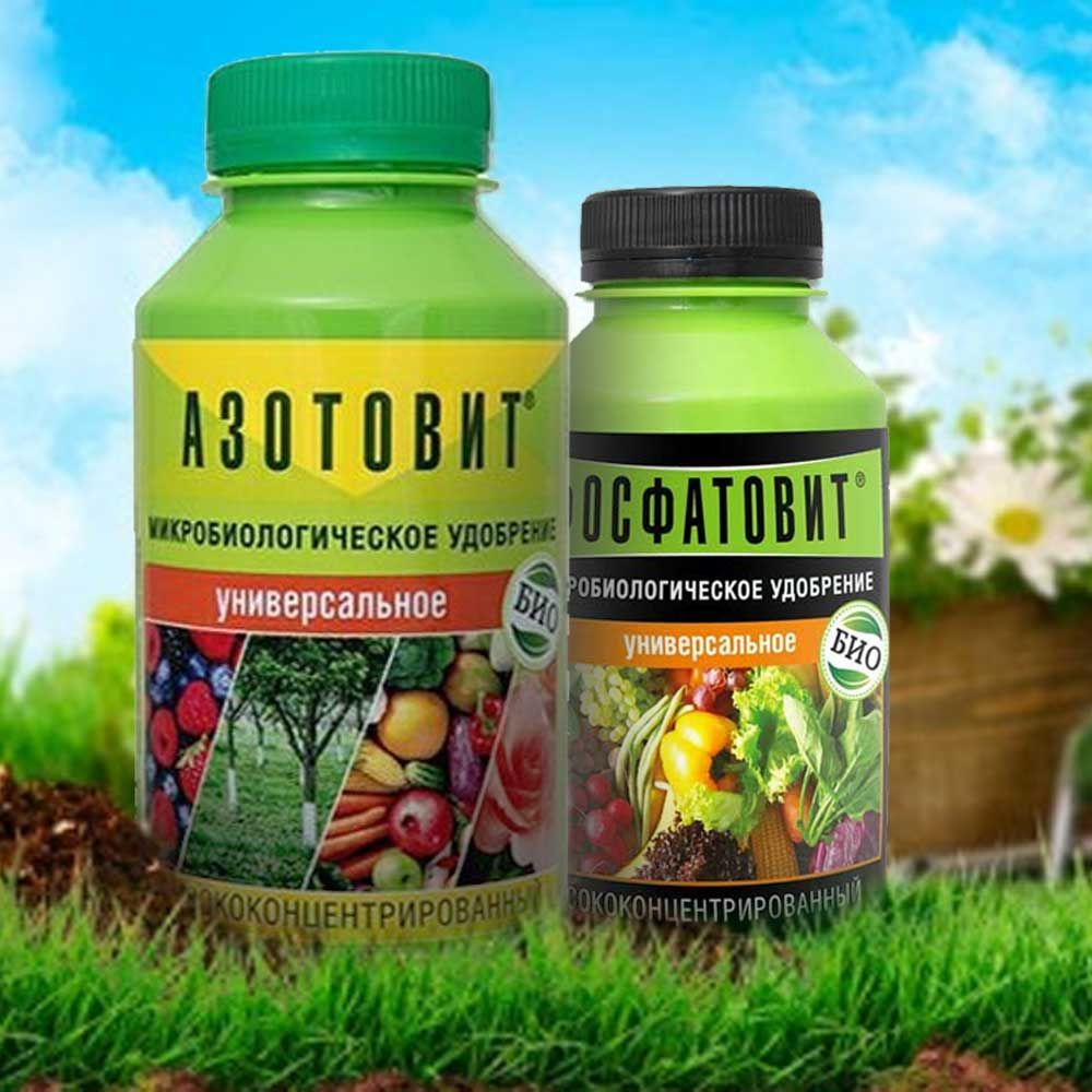 Азотовит Удобрение - купить с доставкой по выгодным ценам в интернет ...