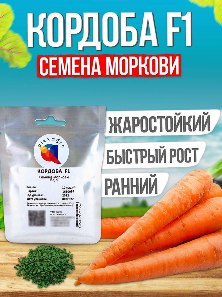 Кордоба F1 семена моркови ранней, 10000 шт. (Bejo / ALEXAGRO). Высокоурожайный гибрид шантанэ для открытого #1