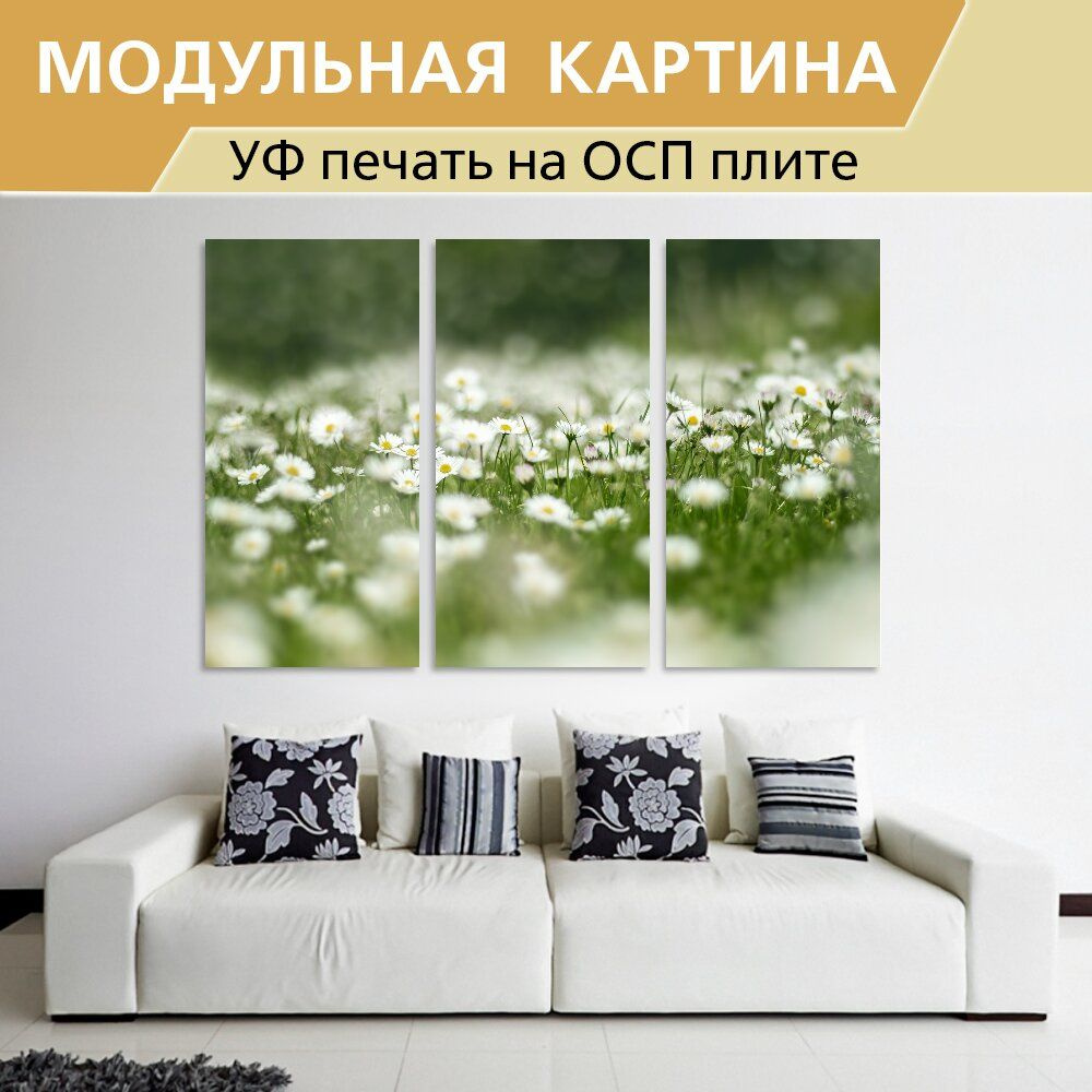 природа _ интерьер