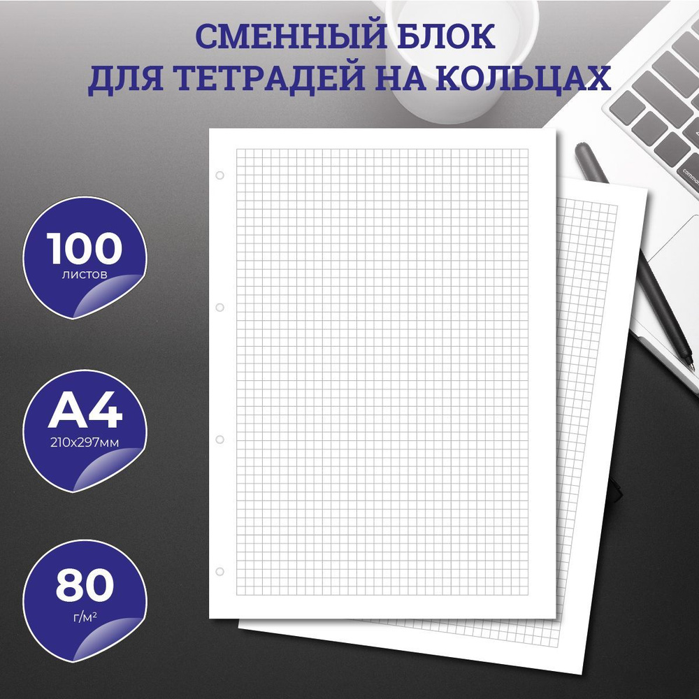 Сменный блок для тетради на кольцах, А4, 100 листов, клетка, 80 г/м2 ,  перфорация на 4 отверстия - купить с доставкой по выгодным ценам в  интернет-магазине OZON (953014657)