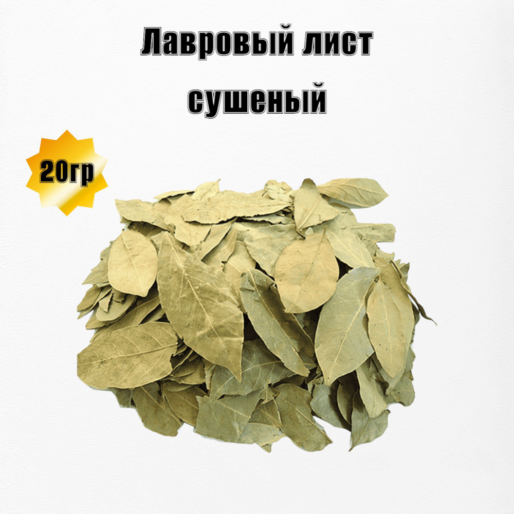 Лавровый лист 20гр - купить с доставкой по выгодным ценам в  интернет-магазине OZON (1012080787)