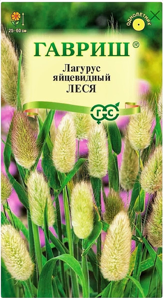 Зайцехвост яйцевидный (Лагурус) Леся, 1 пакет, семена 0,1 гр, Гавриш  #1