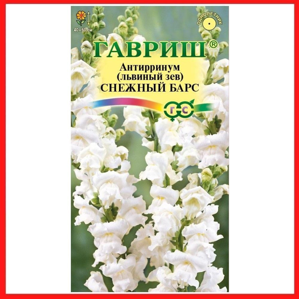 Семена Антирринум "Снежный барс" Львиный зев 0,05 гр, однолетние цветы для дачи, сада и огорода, клумбы, #1