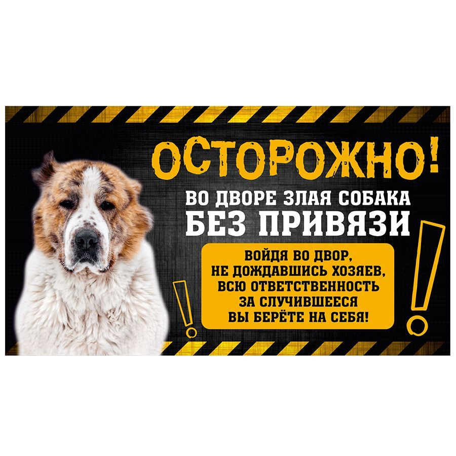 Табличка, с юмором, прикол, DANGER DOG, Осторожно! Во дворе собака без  привязи, Алабай 25x14 см