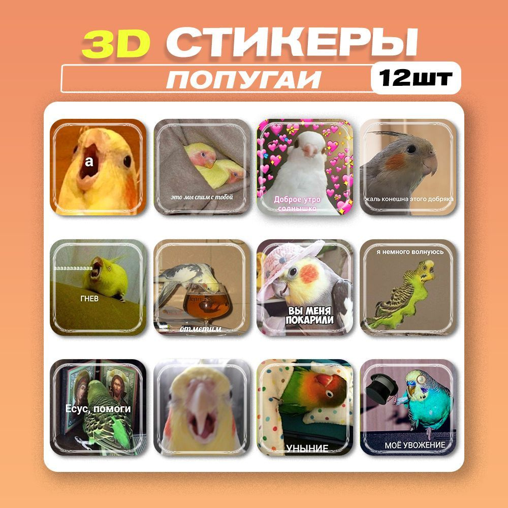 3д стикеры Попугаи мемы 3d наклейки на телефон