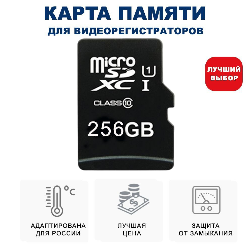 Blackview Карта памяти 256 ГБ (SDCS2/128GBSP) - купить с доставкой по  выгодным ценам в интернет-магазине OZON (1047173223)