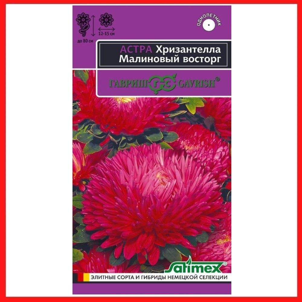Семена Астра Хризантелла "Малиновый восторг" 0,05 гр, однолетние цветы для дачи, сада и огорода, клумбы, #1
