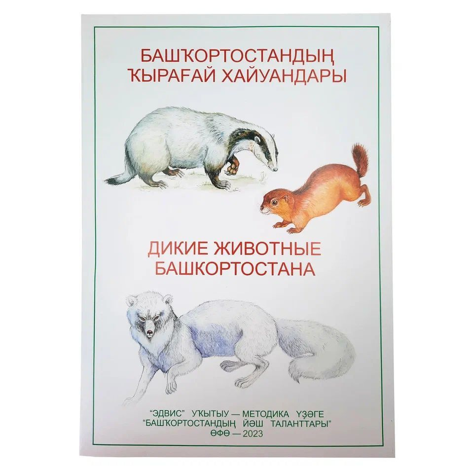 Дикие животные Башкортостана. Наглядное пособие. 24 демонстрационных  плакатов. Формат А3. - купить с доставкой по выгодным ценам в  интернет-магазине OZON (1057466532)