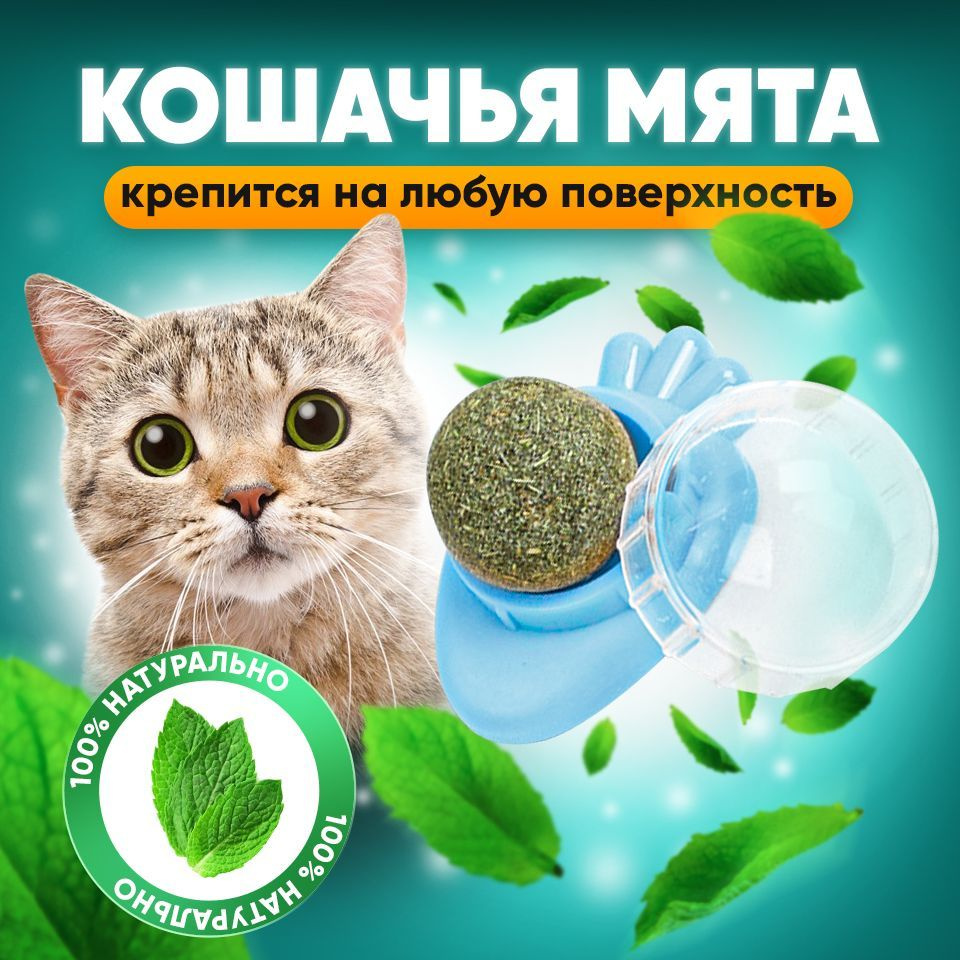 Кошачья мята шарик на стену / леденец для кошек и котят/игрушка для кошек/  - купить с доставкой по выгодным ценам в интернет-магазине OZON (1076152022)