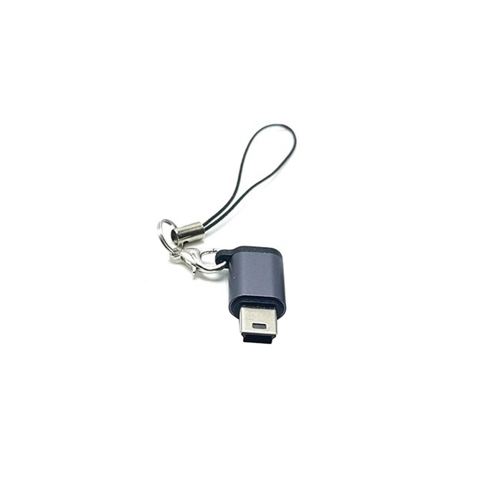 Адаптерный кабель,Адаптер Type-C в Mini USB, конвертер типа мама-мужчина ,  поддержка передачи данных, 480 Мбит/с для телефонов, планшетов - купить с  доставкой по выгодным ценам в интернет-магазине OZON (1572887433)