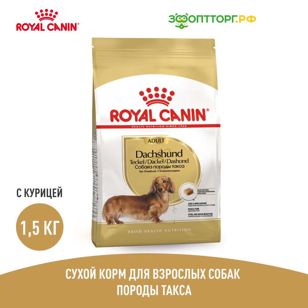 Dachshund shop royal canin