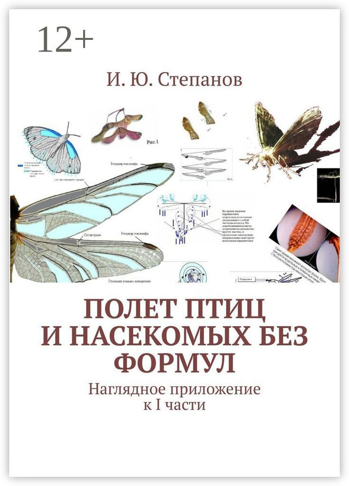 Полет птиц и насекомых без формул. Наглядное приложение к I части #1